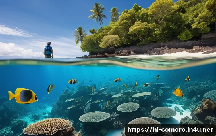 कोमोरोस यात्रा: पर्यटकों की सुरक्षा के वो राज़ जो हर कोई नहीं बताता! 3 코모로 관광객 안전 현황 관련 이미지 1